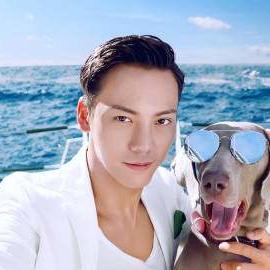 热门一指游戏盘点：揭秘人气巅峰之作