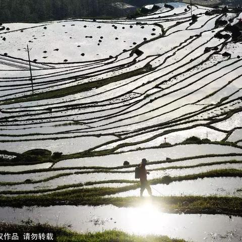 《夜啼全攻略：深度流程解析+新手快速上手》