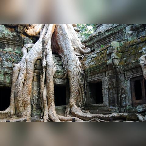 《古墓丽影9》全要素攻略：解锁全挑战任务与古墓秘境