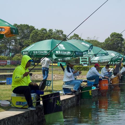 盘点热门：人气飙升的钓鱼游戏精选推荐