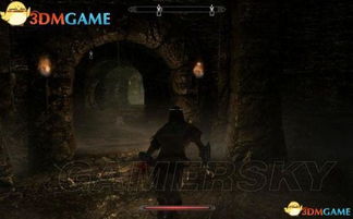 上古卷轴4重制版发布会亮点揭晓