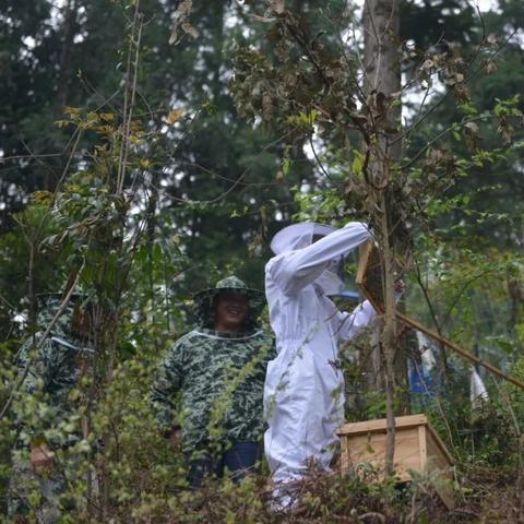 《木箱伙伴公司》Steam版：全球任意存取，你的箱子自由行