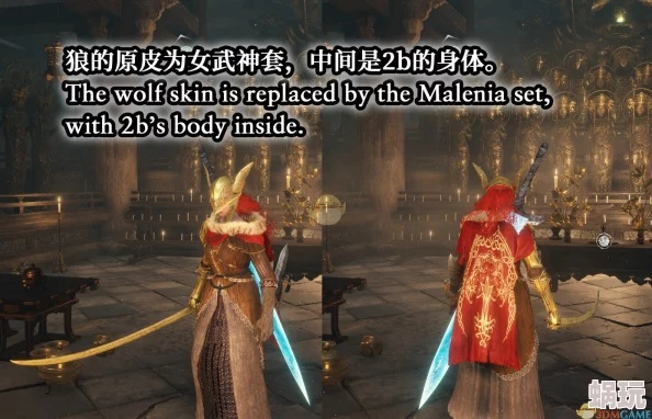 《艾尔登法环女武神1.10版攻略：高效打法揭秘》