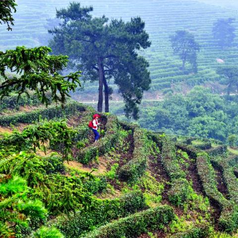 《全境封锁》测试服开启！独家体验，品质升级大揭秘