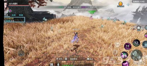 《燕云十六声》白狼主邪道攻略：独门打法揭秘！