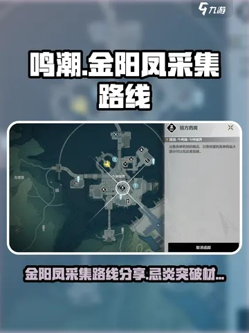 《鸣潮》金阳凤高效采集攻略：避开炎、安可，轻松获取突破材料