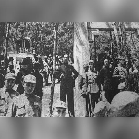 《交错战线》推图打王必备！独家全能队搭配攻略揭秘