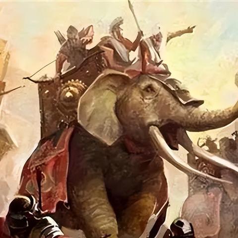 《苏丹游戏金征服卡消耗攻略》