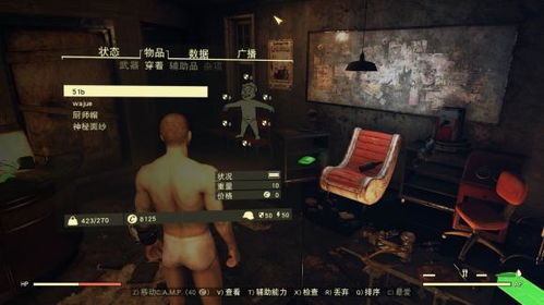 《辐射76》惊现公众场所裸体奇观，尸鬼“遛鸟”现象引热议