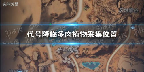《绝区零》第五日探秘：浮冰路陷阱多，样本搜集攻略揭秘
