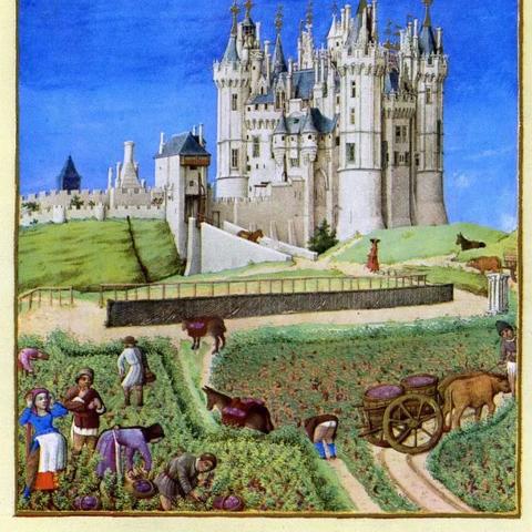 《庄园领主》独家：商品价格大揭秘，交易必看攻略！