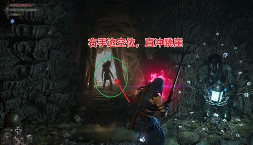 《堕落之主》洗点道具无限购攻略：重生之蛹玩法揭秘