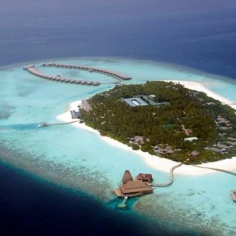 十大耐玩神级上帝模拟游戏，揭秘永恒魅力排行榜