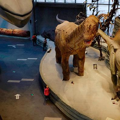 自然游戏盘点：热门精选，探索最佳游玩体验