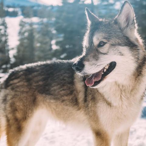 《饿狼传说群狼之城》全角色连招超必杀大揭秘！