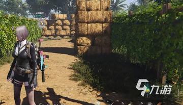 《七日世界》独家攻略：轻松获取蜂团团秘籍