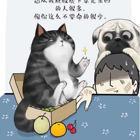 最新桌游排行揭晓：盘点热门桌游，趣味无限新体验