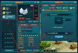 《命运方舟》考古达人速成攻略，等级飙升秘籍！