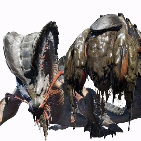 《崛起泥翁龙全技能解析：狩猎技巧大揭秘》