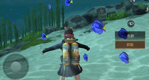 《FF14》6.2无人岛动物捕捉全攻略，轻松升级必备！