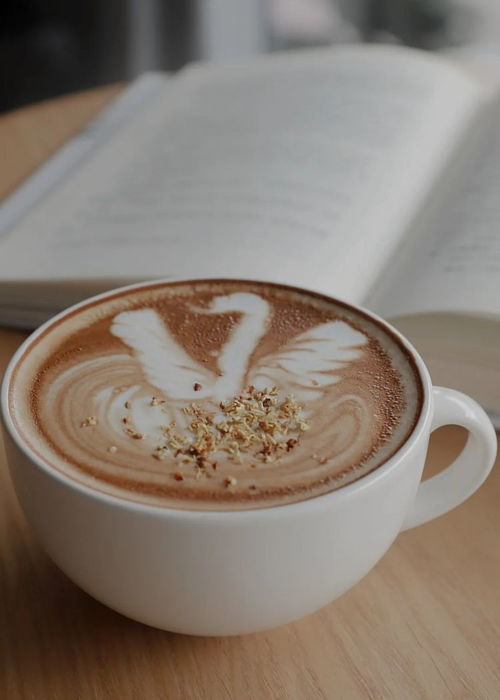 《麦芬启程：新手职业攻略，选对职业助你飞》