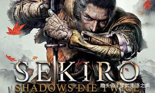 《只狼影逝二度》Steam价格大揭秘！惊爆价等你来抢！