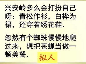 心如炼金冲分秘籍：冒险公社升级攻略新解
