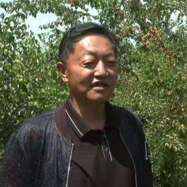 十大精选农场模拟游戏，揭秘农业乐趣新体验