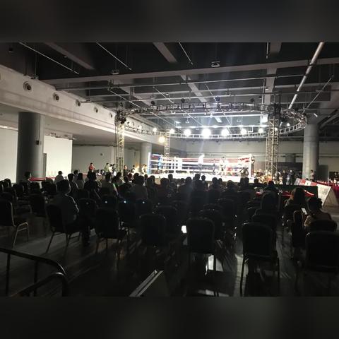 最新体育游戏盘点：探索好玩新体验