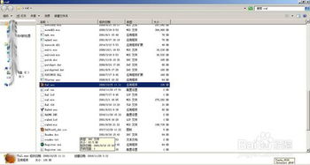 热门局域网联机游戏盘点：揭秘最受欢迎的玩法排行