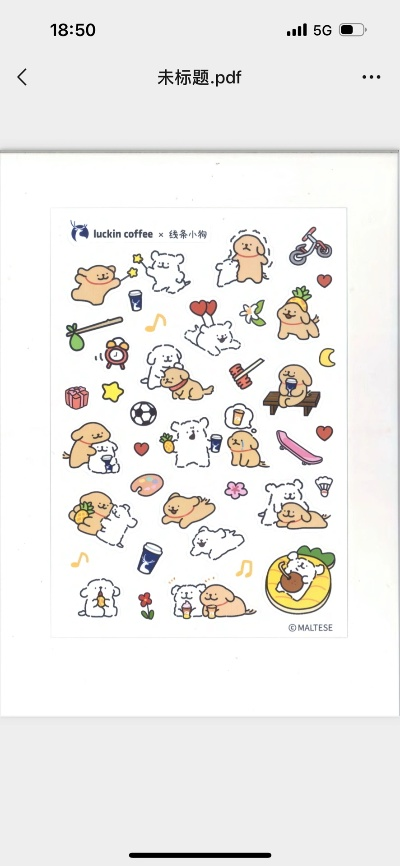 《线条小狗探秘:动物温泉信件大揭秘！》