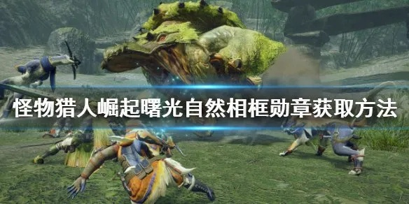 《崛起猎具生物彩瓷勋章速成攻略》