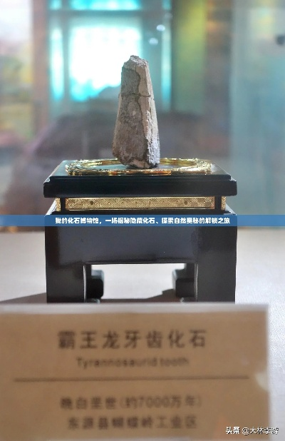 探秘化石博物馆：解锁隐藏化石宝藏攻略新篇章