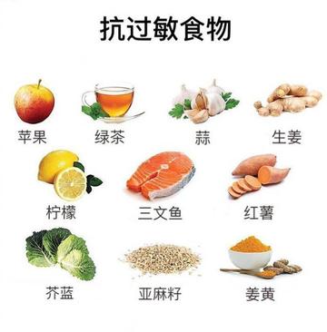 食物Buff生存奥秘深度解析，解锁全新生命能量