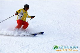 十大耐玩滑雪游戏盘点：揭秘单板滑雪游戏大全精选