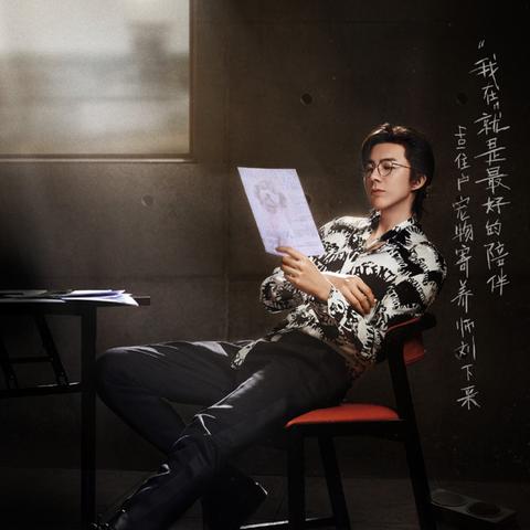 热门下载！揭秘高人气推理调查游戏精选推荐