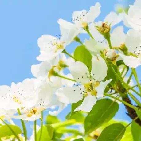 热门软件培训游戏盘点：揭秘人气高玩法的排行榜