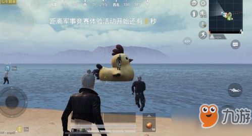 夏日海豚岛新版本来袭！和平精英多玩法大揭秘！