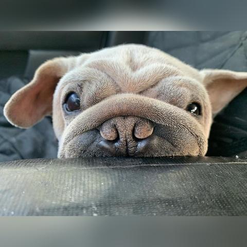 《星球大战》绝地幸存者：招募全明星伙伴攻略速览