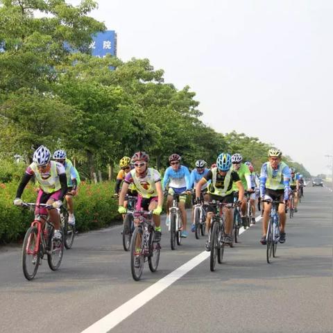 热门排行揭秘：自行车游戏下载精选推荐