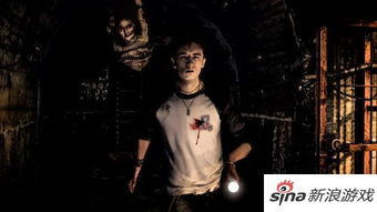 十大耐玩鲜血游戏盘点：揭秘沉浸式惊悚体验