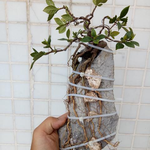 十大实用工具游戏盘点：揭秘必备神器排行