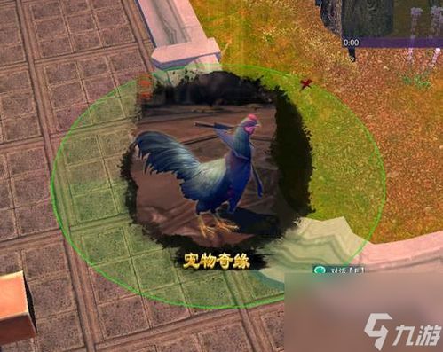 江湖攻略秘籍：九州大地图探秘新攻略