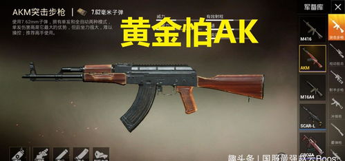 十大枪械改装巅峰体验，探索枪械改装游戏魅力排行