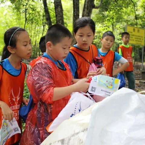 探索自然游戏巅峰之作，揭秘最新十大热门排行！