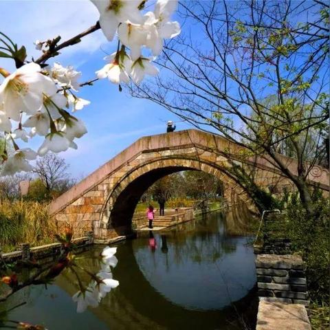 盘点十大生存制作巅峰之作：揭秘开放世界游戏魅力排行榜