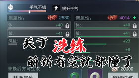 江湖萌新修炼秘籍：爆炒技能速成攻略