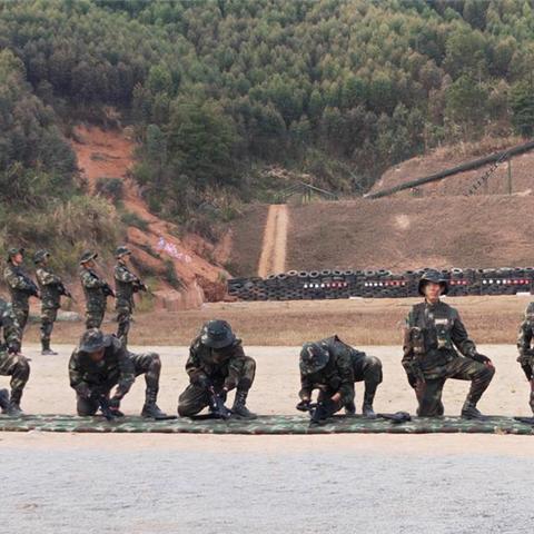 《怪物猎人世界》训练场攻略：快速入门指南