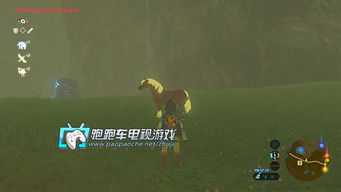 《塞尔达传说》前期强力召唤物速刷攻略！