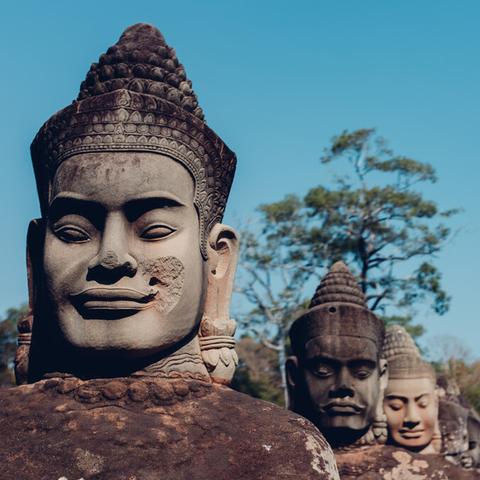 丛林神庙探险奇遇记：揭秘神秘新价值
